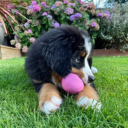 Beco prirodna gumena gumena igračka za pse, liječite doziranje, odskočnu i vučnu, ružičastu, veliku
