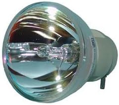 Zamjena tehničke preciznosti za Epson PowerLite 480 gole svjetiljke samo projektor TV svjetiljka