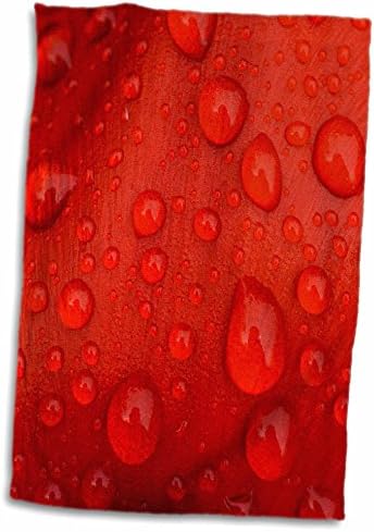 3D ruža izbliza kapljica kiše na ručniku za ručni ručnik crvenog tulipana, 15 x 22