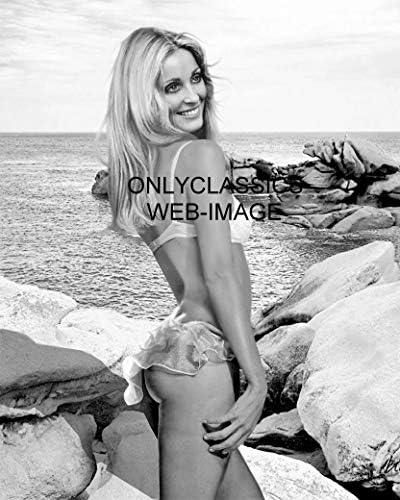 OnlyClassics seksi Lijepa Plava glumica Sharon Tate 8x10 Photo Swimsuit Pinup Cheesecake