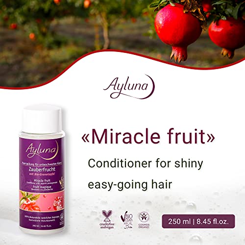 Ayluna čudo voće - klima uređaj za sjajno lako - ide dlaka sa organskim šipak, 250ml