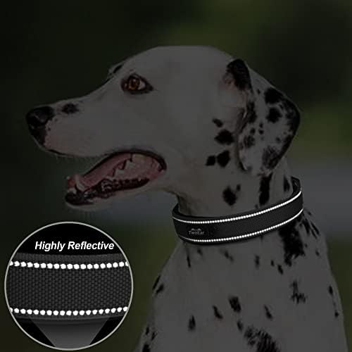 Petifine Neoprene podstavljeni ovratnik za pse, ogrlica za pse za teške dužnosti sa izdržljivim metalnim