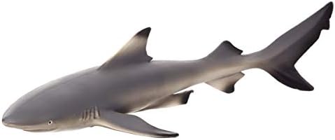 Mojo - Realistic International Figurica divljih životinja, Crni Tip Reef Shark