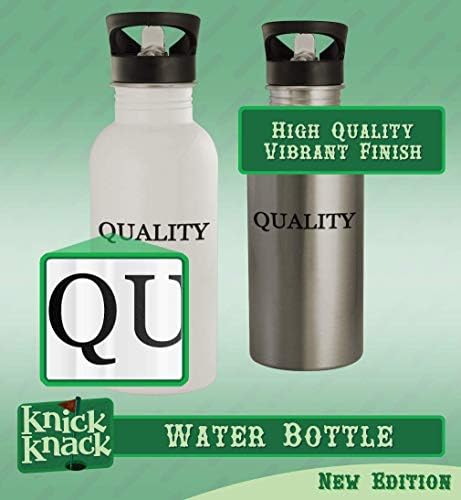 Knick Klack pokloni shandie - 20oz boca vode od nehrđajućeg čelika, srebrna