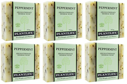 Plantlife Peppermint 6-pack Bar sapun-hidratantni i umirujući sapun za vašu kožu-ručno izrađen od biljnih sastojaka-Made in California 4oz Bar