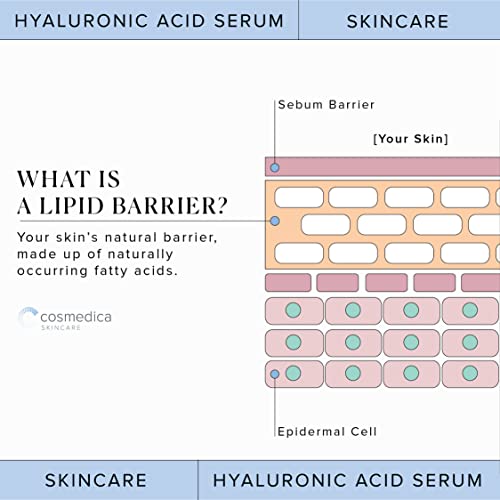 Serum hijaluronske kiseline za kožu-- čisti Serum protiv starenja--intenzivna hidratacija + vlaga,