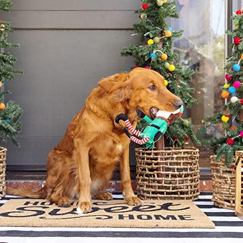 Fringe Studio Plišani pas igray, vjerujte u svoj vilenjak, kolekciju kućnih ljubimaca